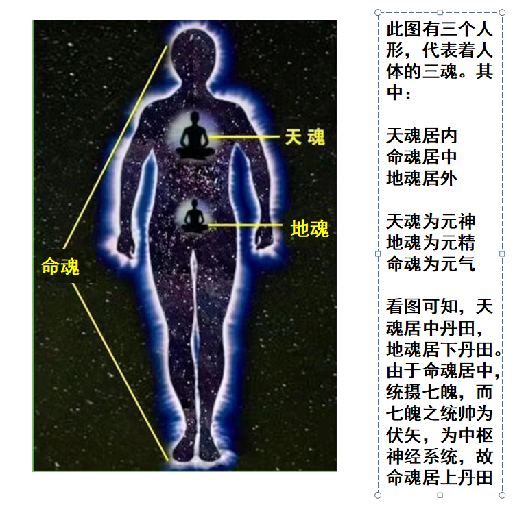 科学与文明-03-小说与随笔-03-杂文:医学之变
